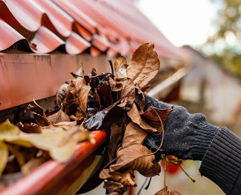 Gebäudereinigung im Herbst