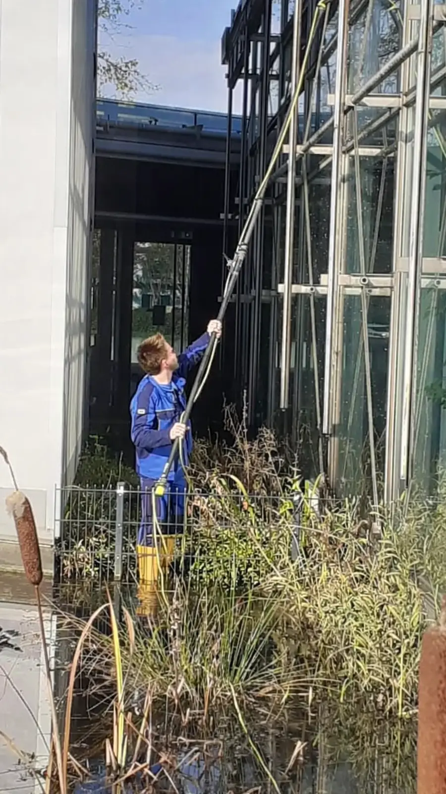 fensterreinigung-ohne-chemie-2026 Fensterreinigung ohne Chemie